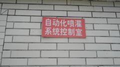 蔬菜種植培育基地八