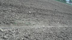 蔬菜種植培育基地九